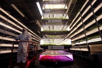 A worker rides a lift past stacks of vertical farming beds with LED lights