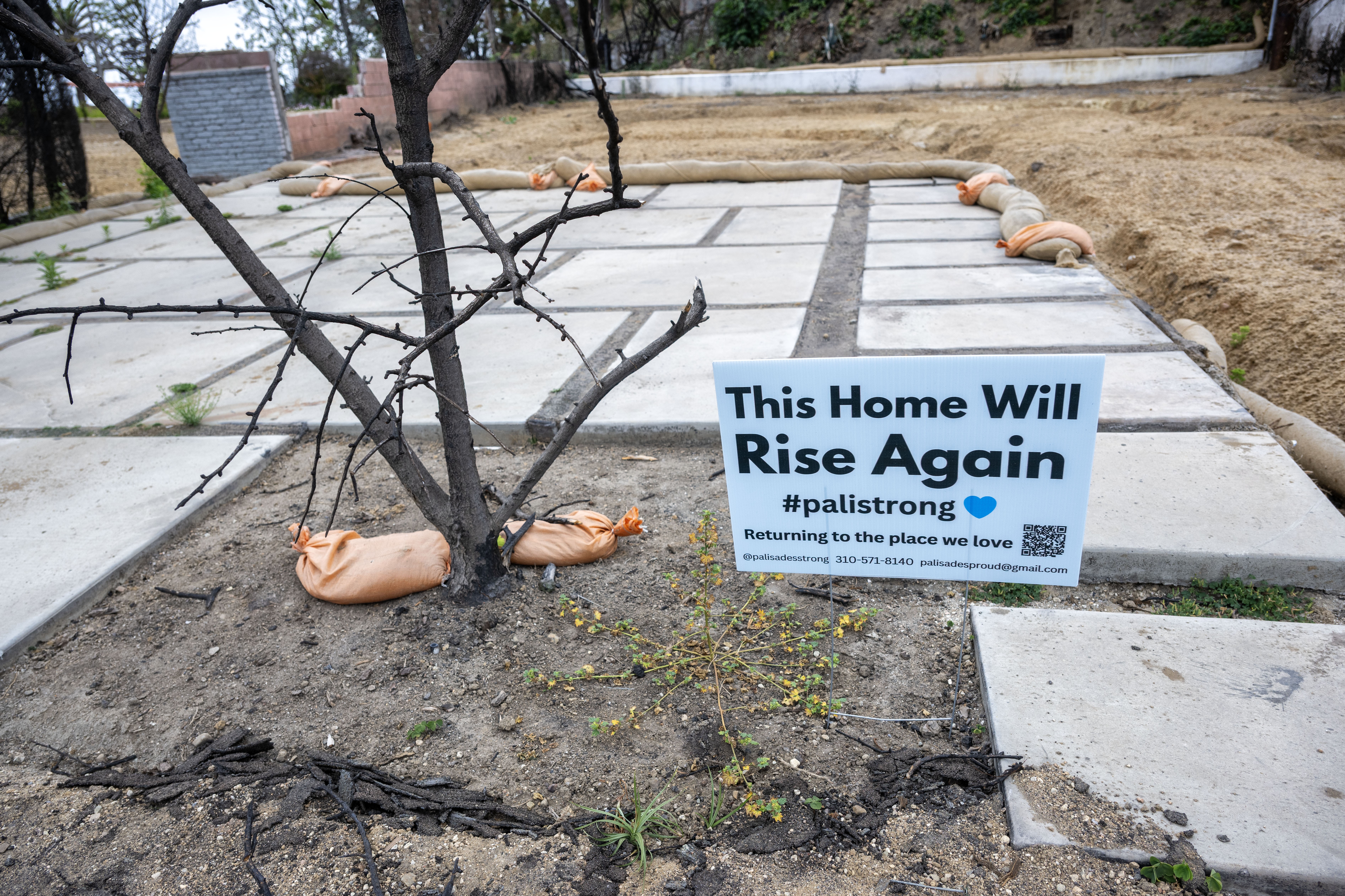 A yard sign reading