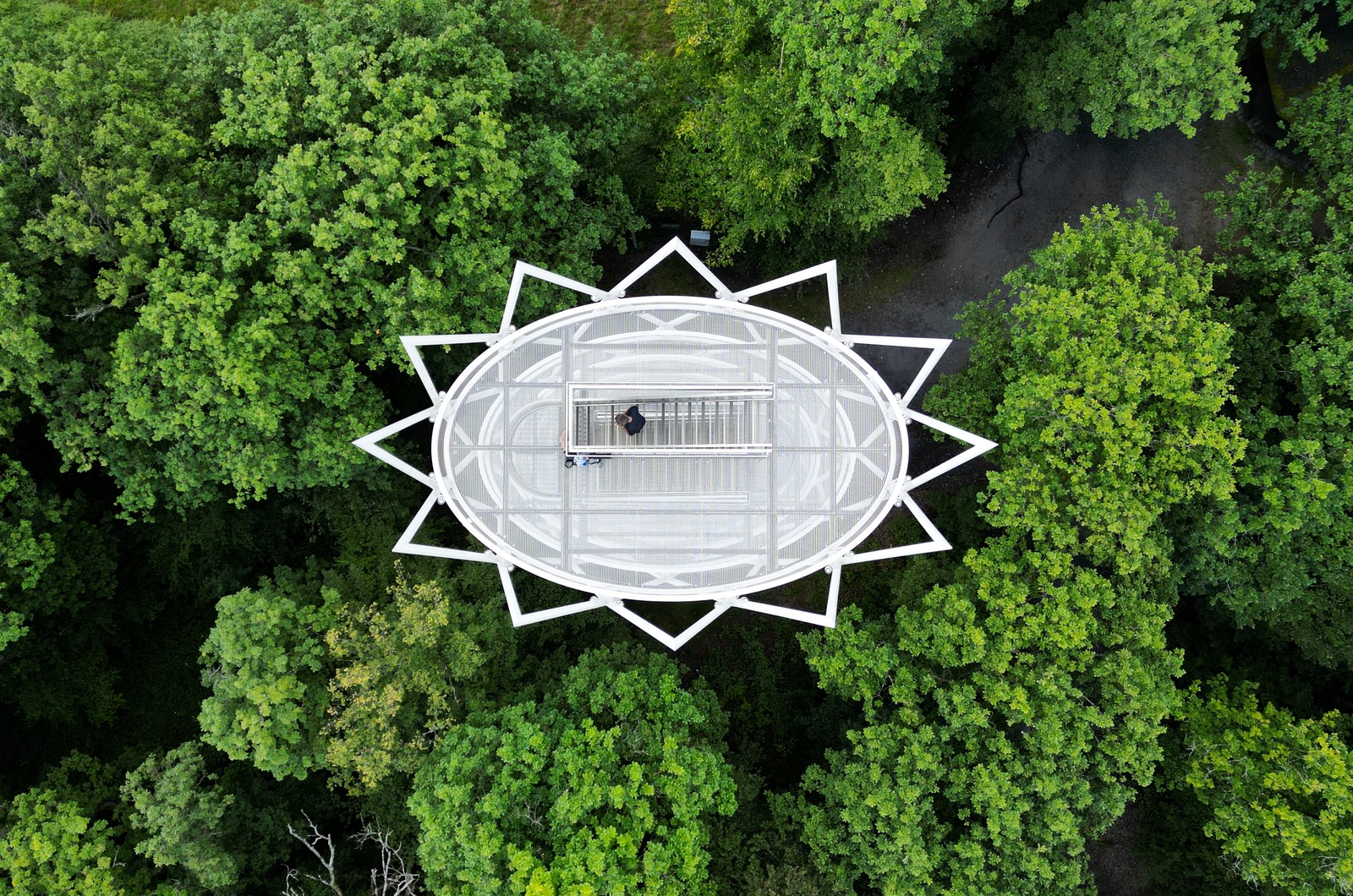 An overhead view of a star-shaped tower standing in a forest