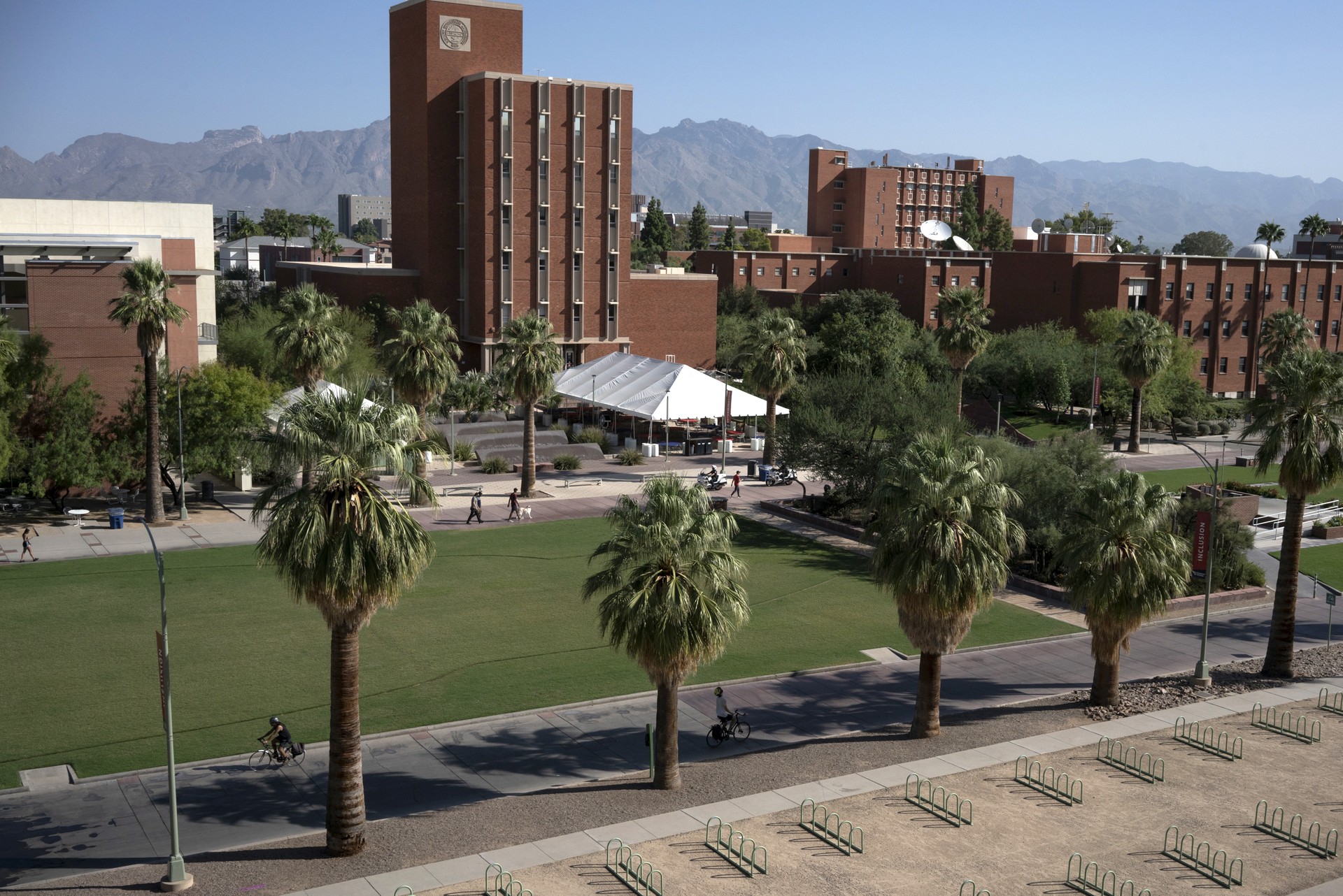 Inside the Fight to Reopen the University of Arizona - The Atlantic