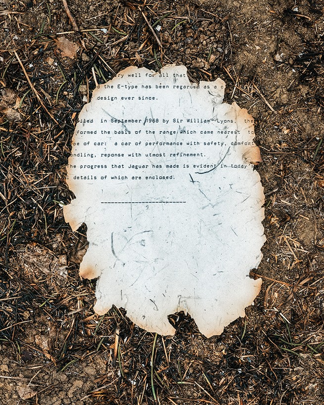 photo of a scorched page on charred grass