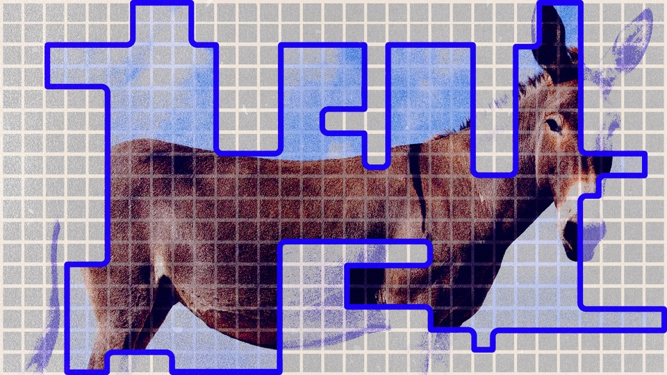 Image of a donkey overlaid on a gerrymandered House district
