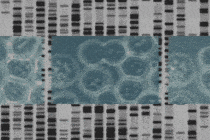 A video showing cells and genetic materials.
