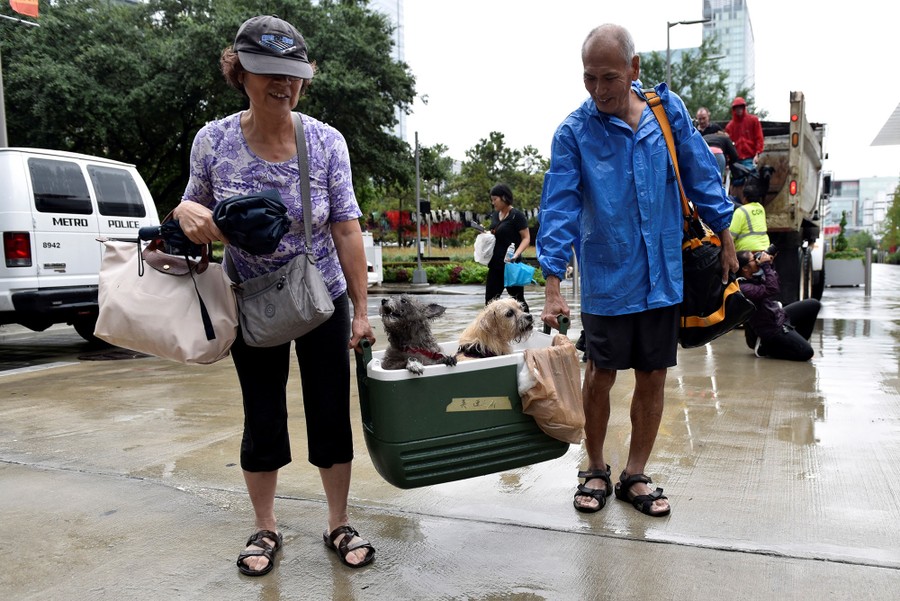 Photos: Pet Rescues In Harvey's Wake - The Atlantic