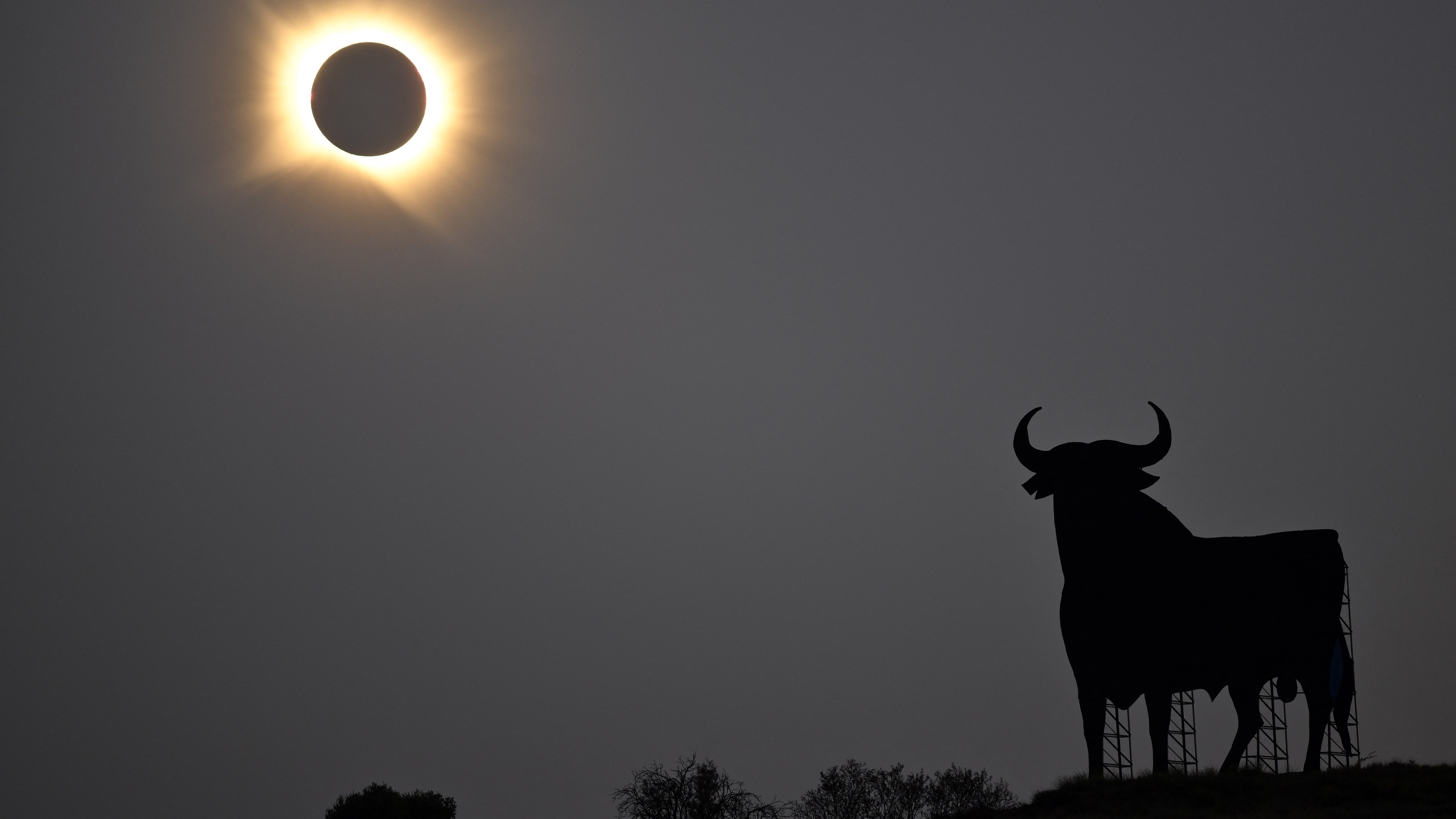 Photos: The Total Solar Eclipse of 2026