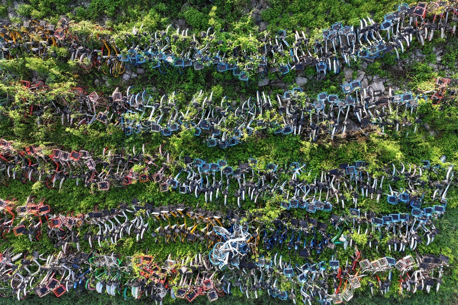 An aerial view of dozens of abandoned bicycles covered by a tangle of bushes