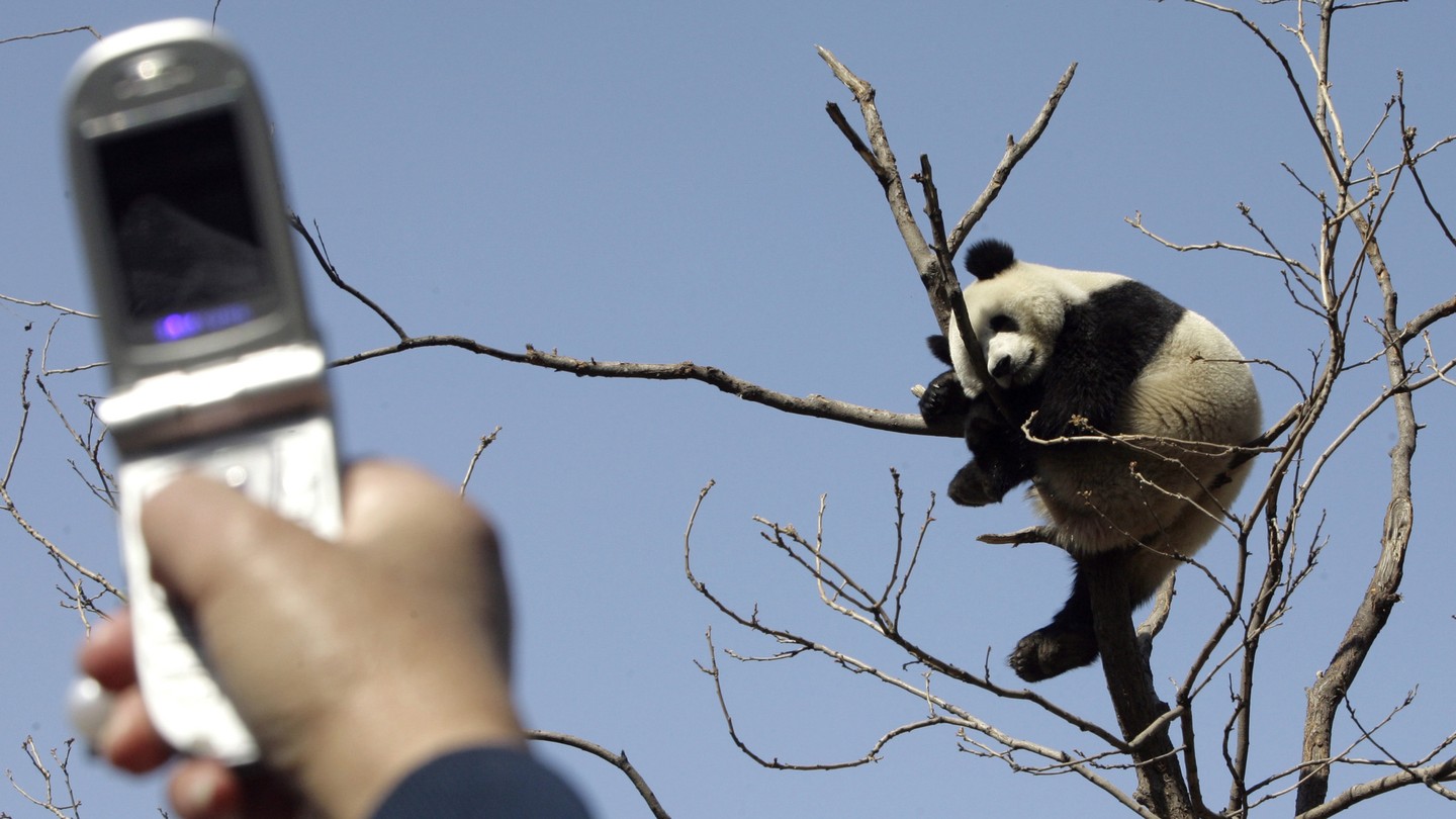 Finally: An App That Can Identify the Animal You Saw on Your Hike - The