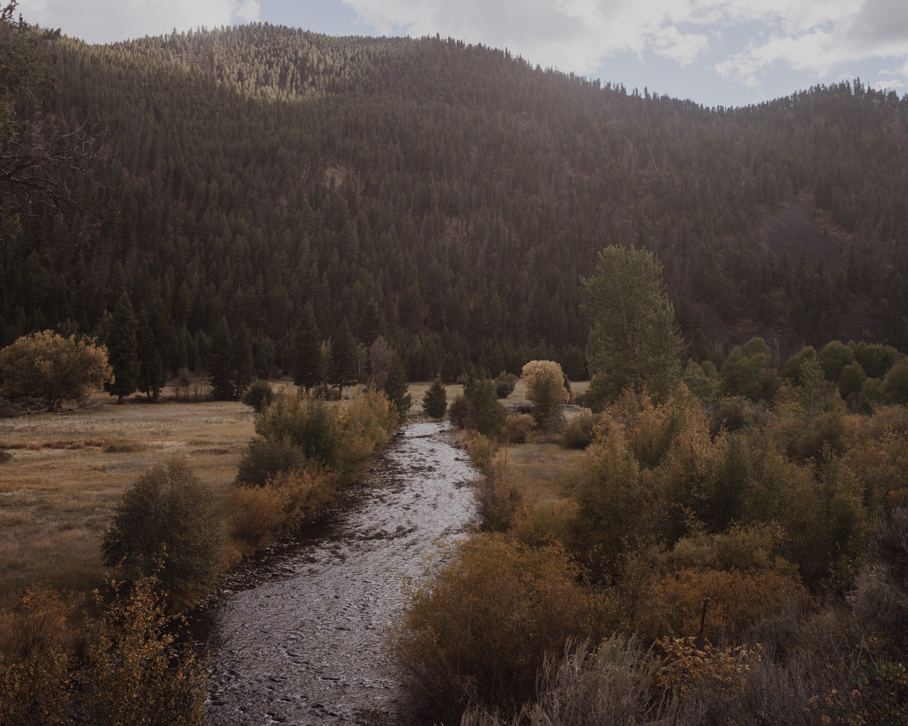 Idaho’s Cobalt Rush Is Here The Atlantic