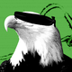 Illustration of bald eagle with a blindfold on in front of a green background