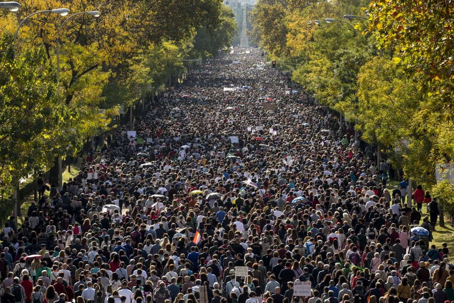 Thousands of protesters march in a broad, tree-lined street.