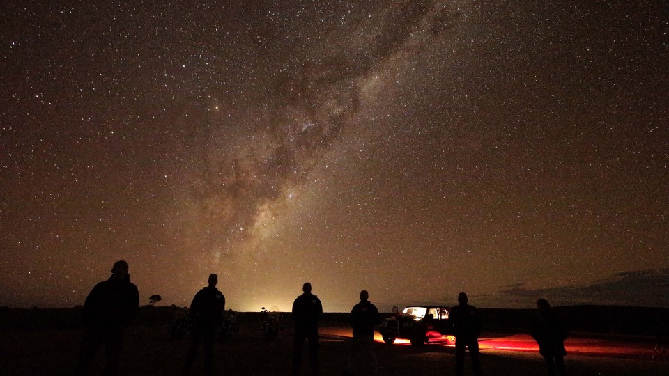 People looking up at the night sky 