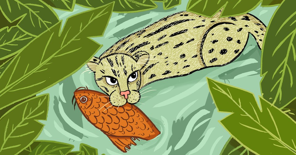 Just a Girl Who Loves Fishing Cat: Perfect Fishing Cat Lover Gift