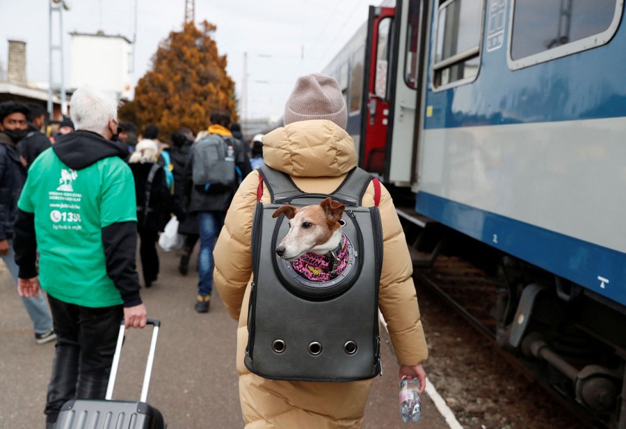 A person carries a dog in a backpack, its head poking out of a round hole, alongside a train.