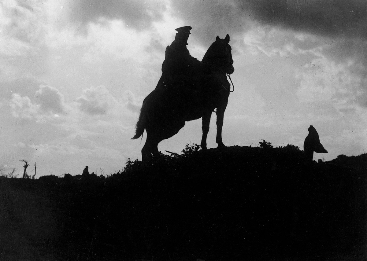 World War I In Photos Animals At War The Atlantic