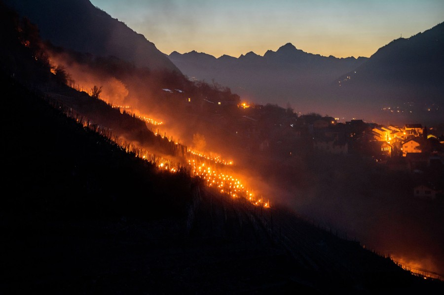 Candles burn among hillside vineyards, seen in the late evening.