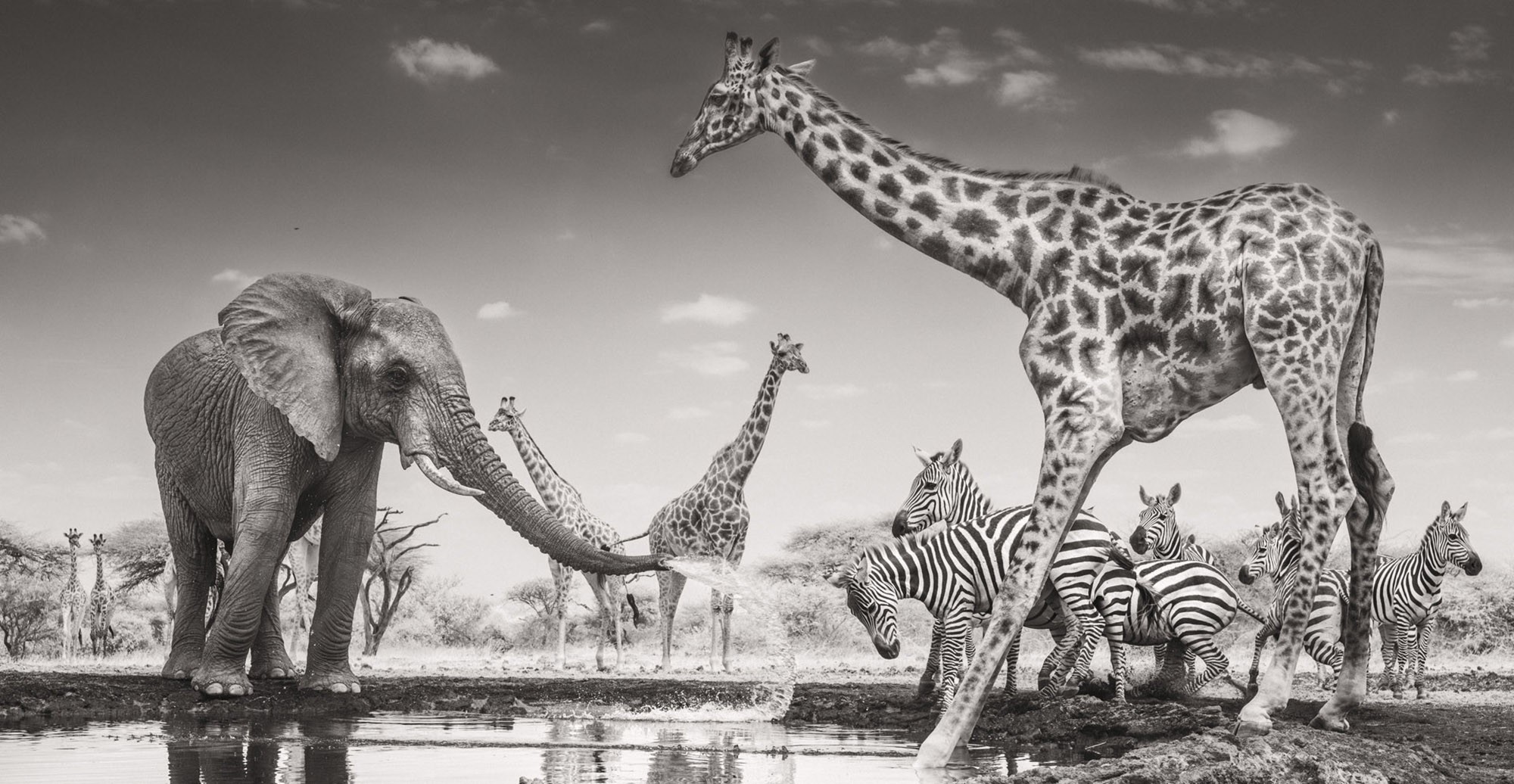 Winners of the Wildlife Photographer of the Year 2026