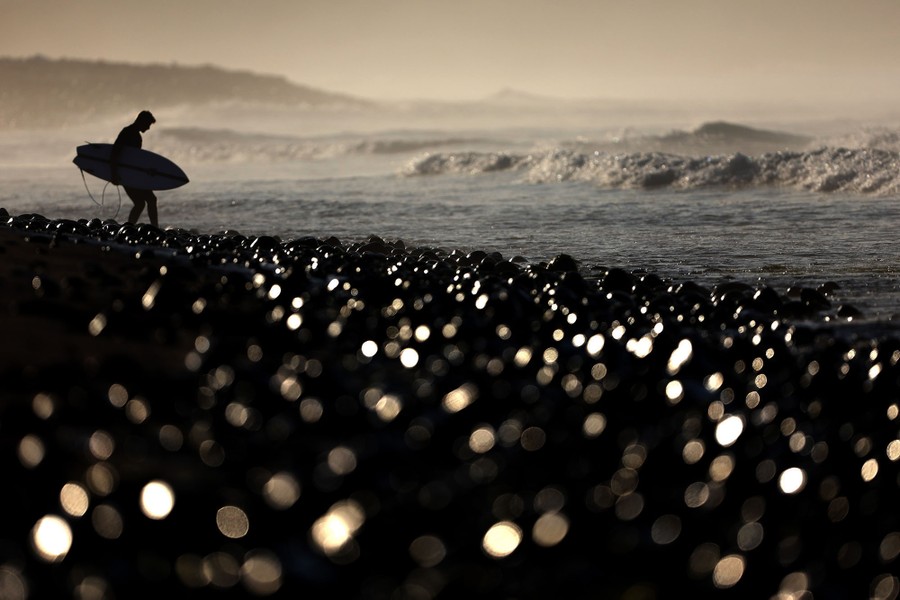 A surfer walks over wet stones into waves.