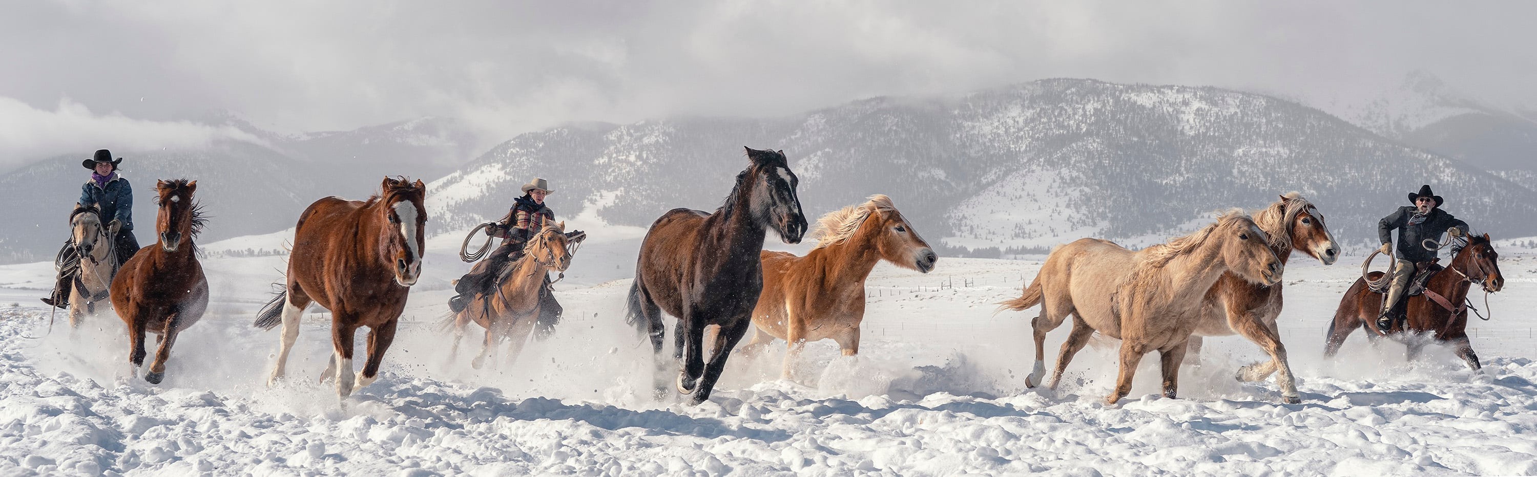 Three ranchers on horseback drive a small herd of horses across a snowy field with mountains in the background.
