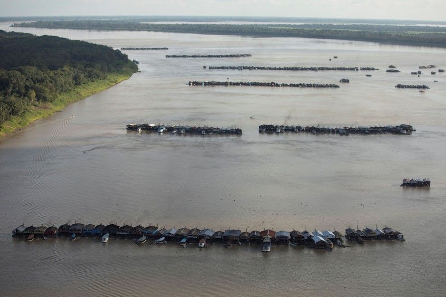 A half-dozen lines of joined rafts float in a broad river, seen from above.