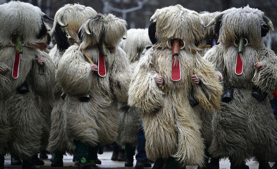 Dancers wearing large, shaggy costumes perform together.