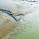 Brown marshland coming up against a green sea