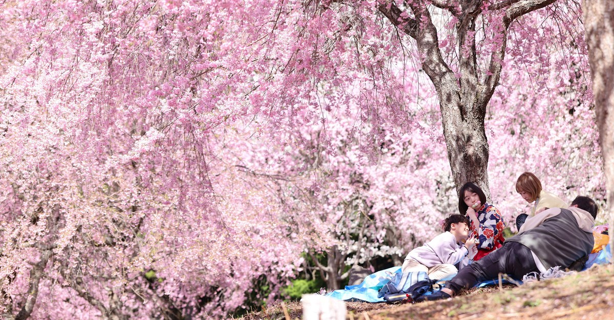 cdn.theatlantic.com image