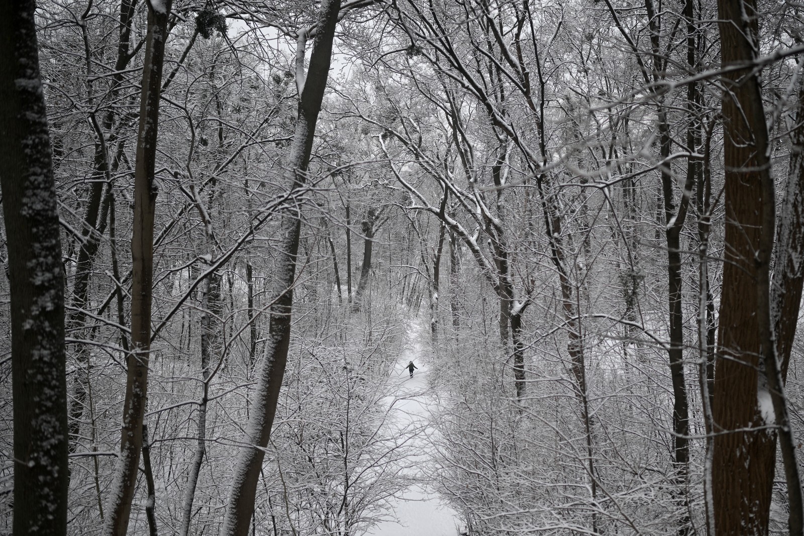 A person walks on apathe through a snow-covered park.