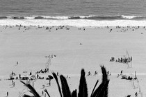 black-and-white photo of beach