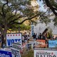"Vote" signs on a lawn