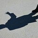 Donald Trump's shadow