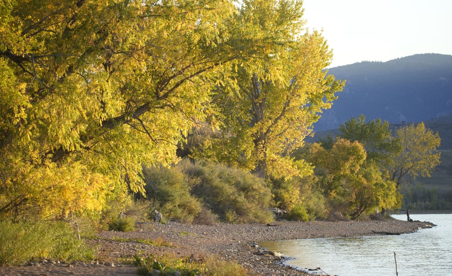 A man fishes from a shoreline beside colorful trees.