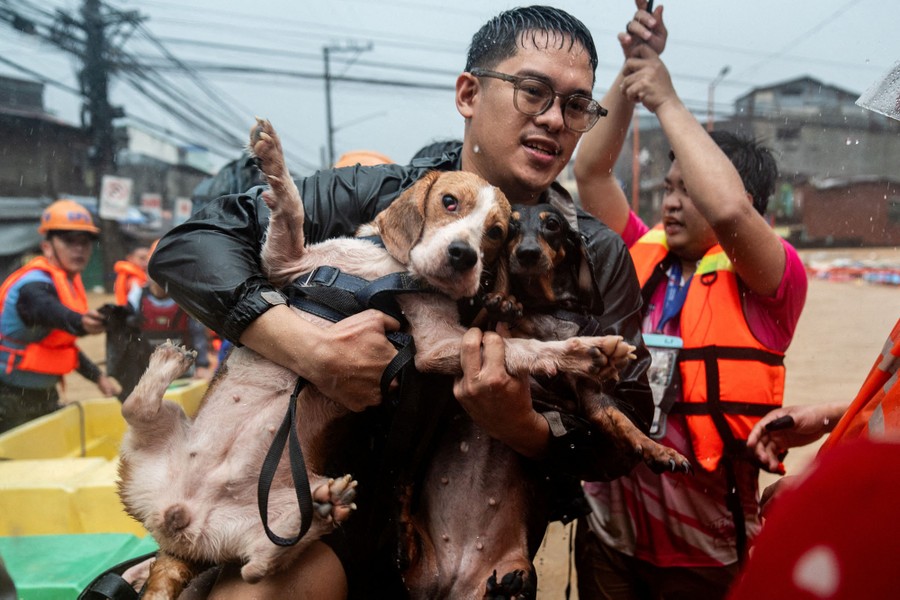 A man carries two dogs away from a rescue boat.