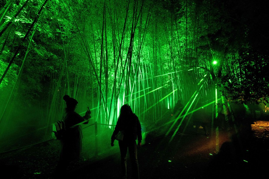 People walk through trees lit by bright green lights.