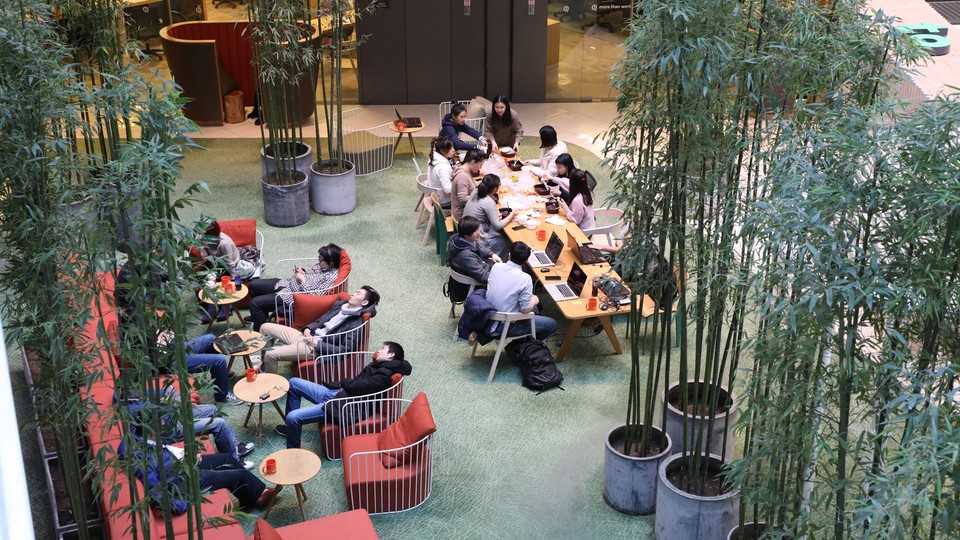 Workers at an open office with bamboo