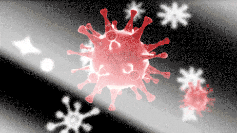 Animation of falling snowflakes mixed with falling coronavirus particles