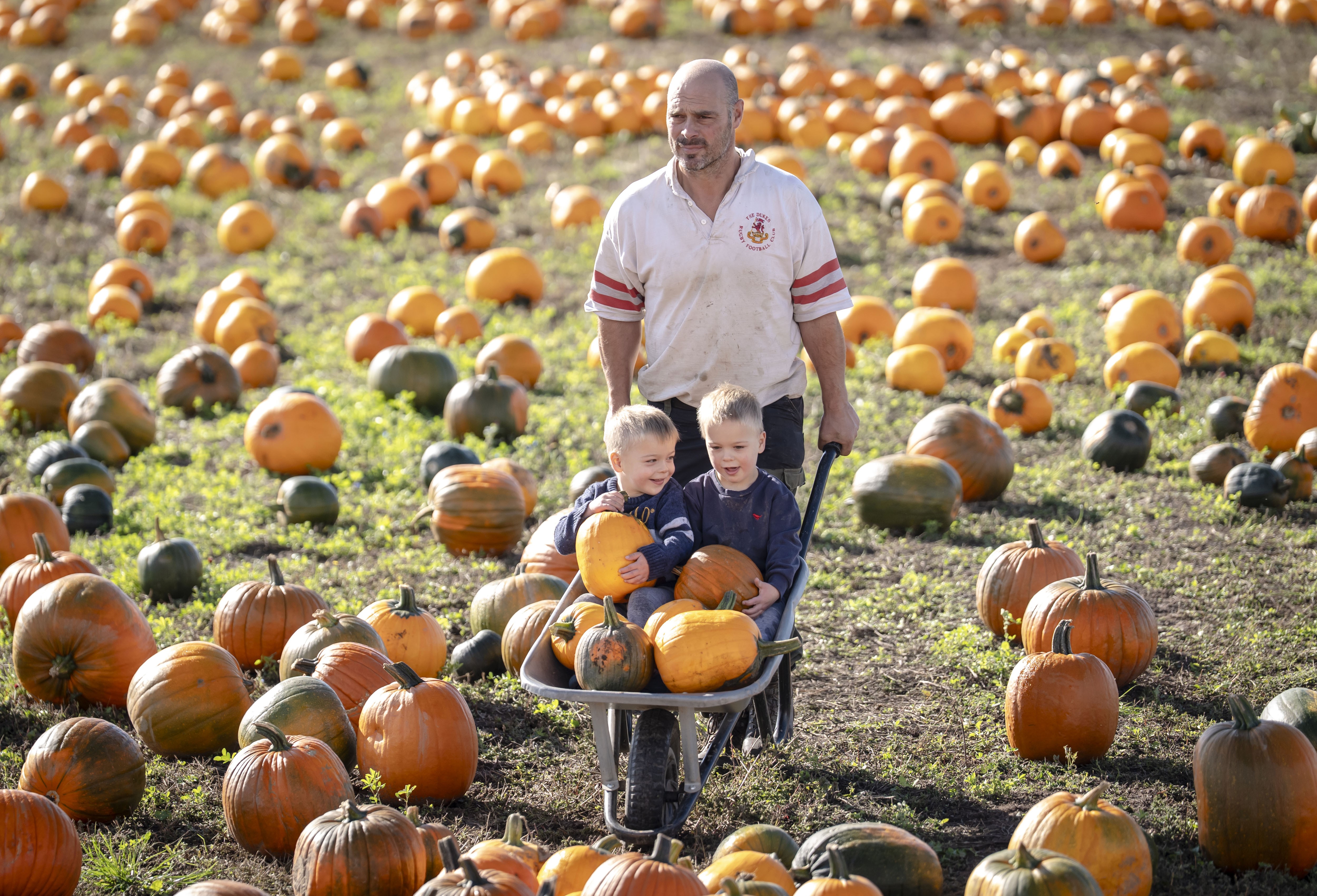 A man pushes a wheelbarrow through a pumpkin patch, carrying two small boys and several pumpkins.