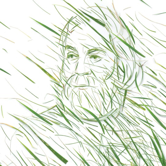 The Blades Of Grass Poem Explanation