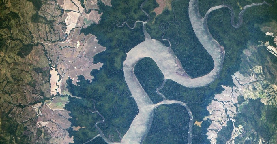 Plants on Earth Help Astronomers Search for Alien Life ...