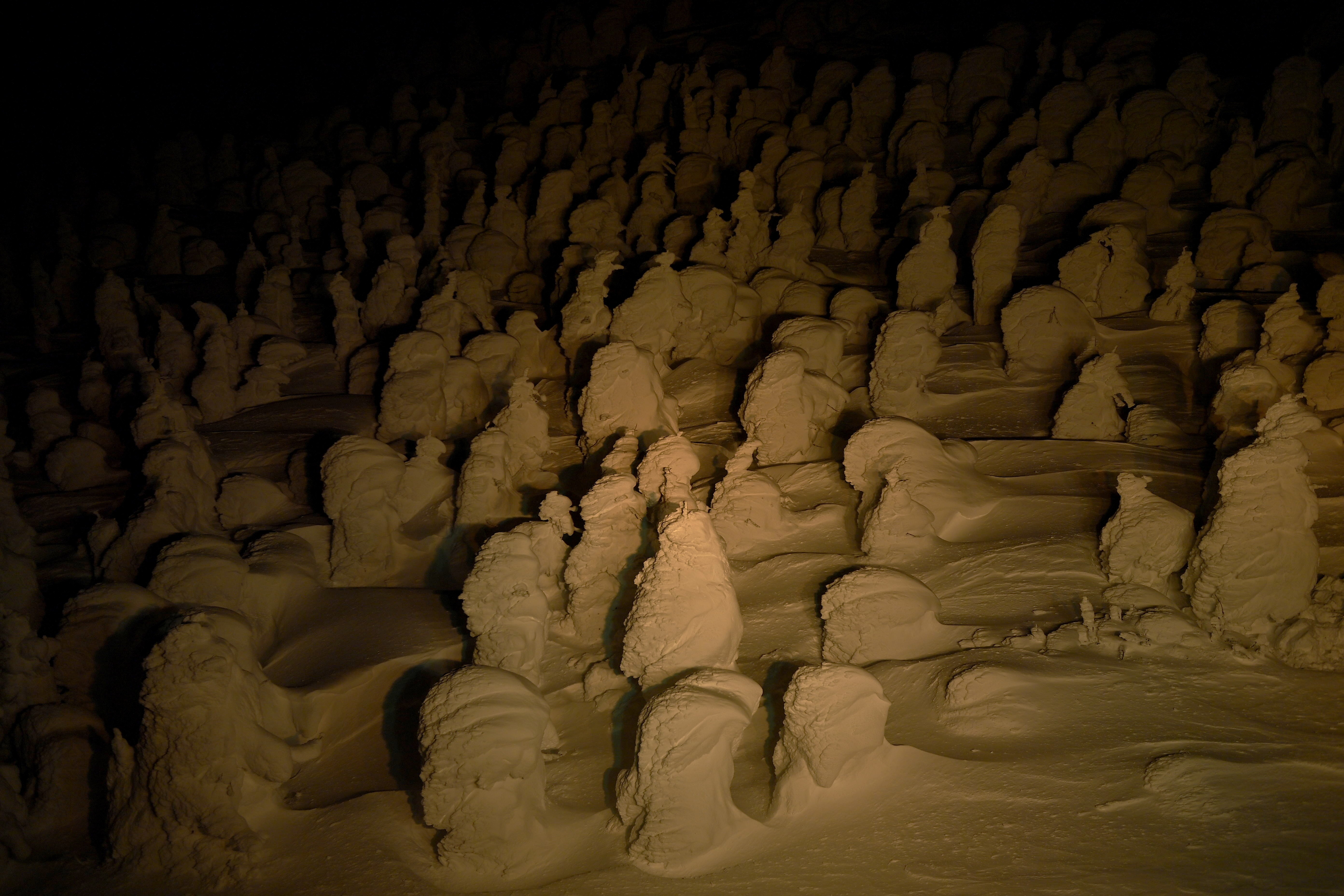 Snow-and-frost-covered trees stand on a mountainside, seen at night.