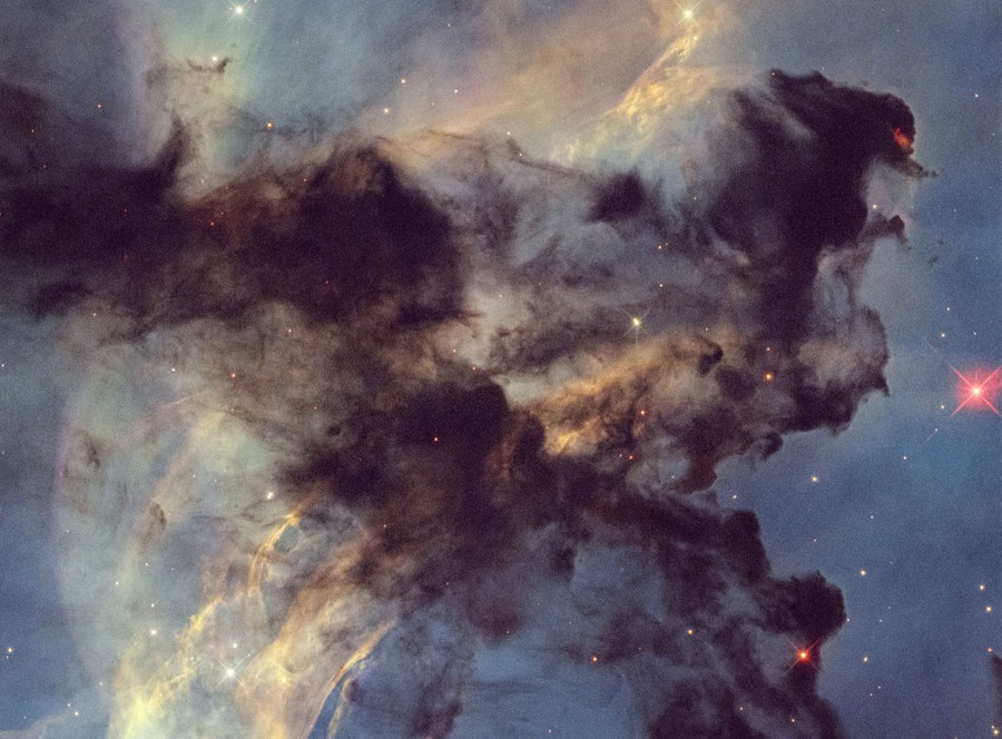 Dark clouds of gas and dust partially obscure brighter clouds in a nebula, with many embedded stars visible.