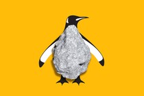 An illustration of a penguin with a small, rocky asteroid in front of its torso, with a mustard-yellow background