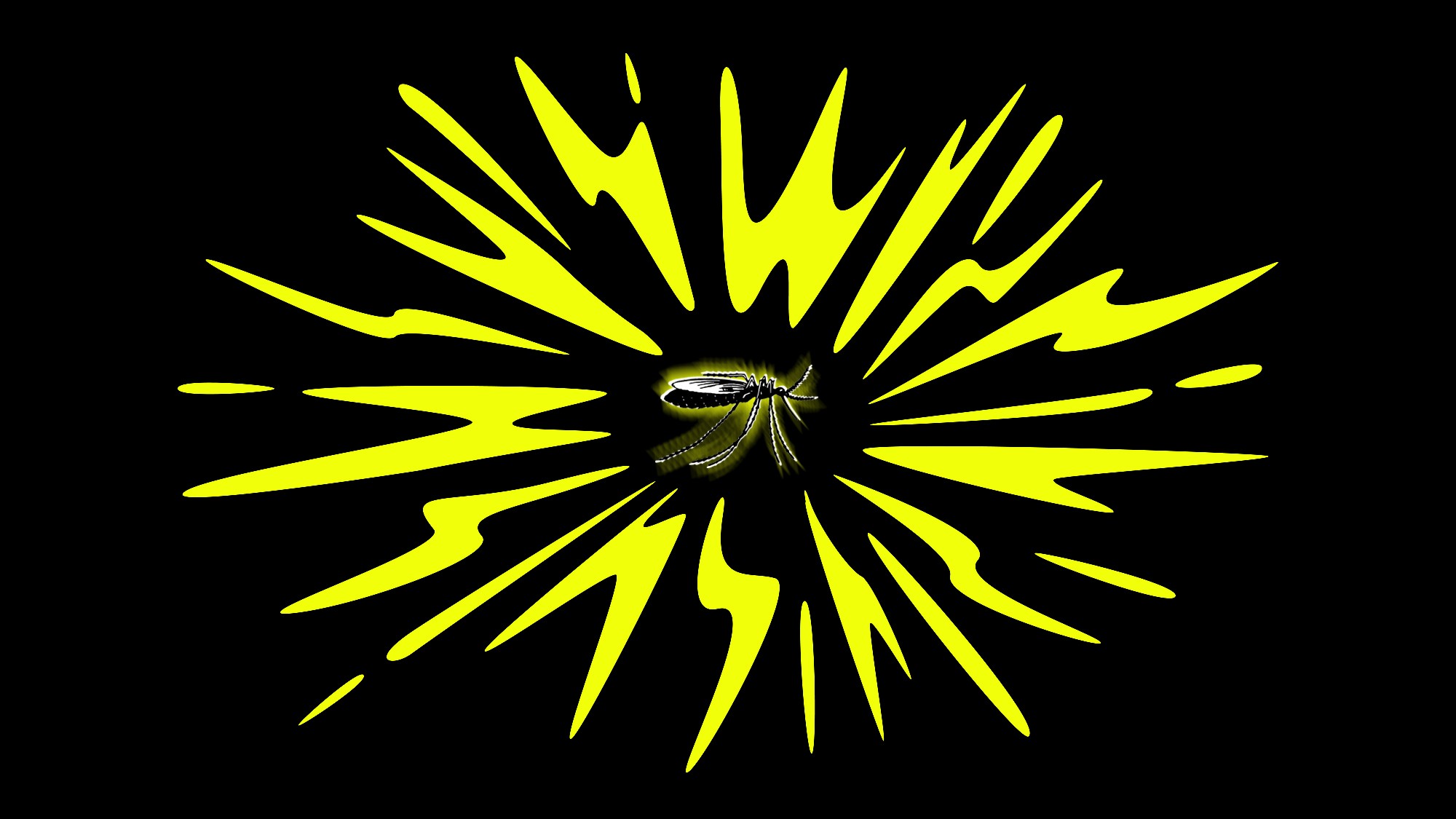 America Is Missing Out on the Ultimate Mosquito Weapon