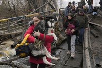 A woman carries a medium-size dog across a path in the rubble of a destroyed bridge, as several other people walk behind her.