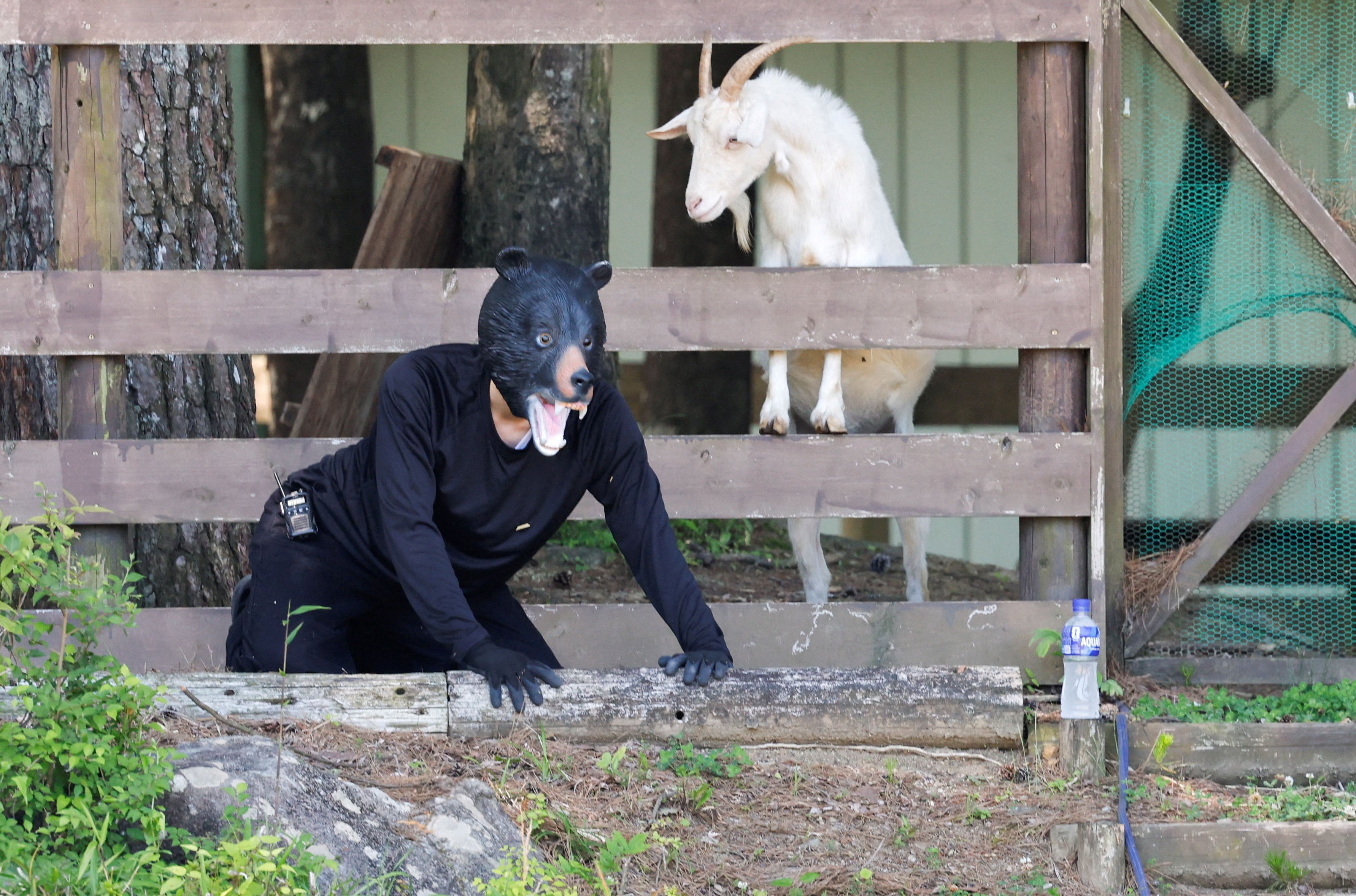 Photos: A Bear Emergency Response Drill in Japan