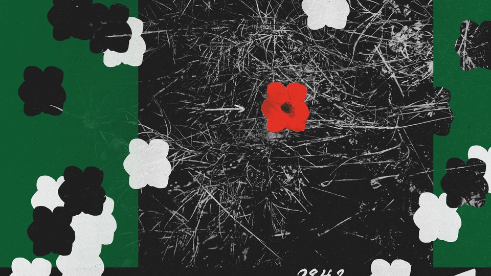 A photo illustration showing a red poppy being duplicated in black and white multiple times.