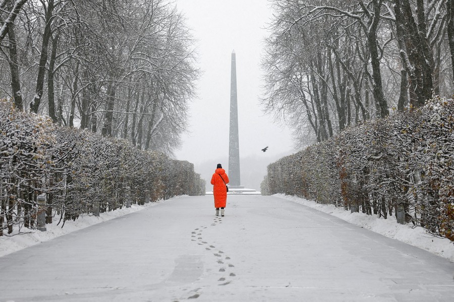 A person walks in a park through new-fallen snow.