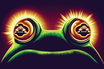 frog with car headlights in eyes