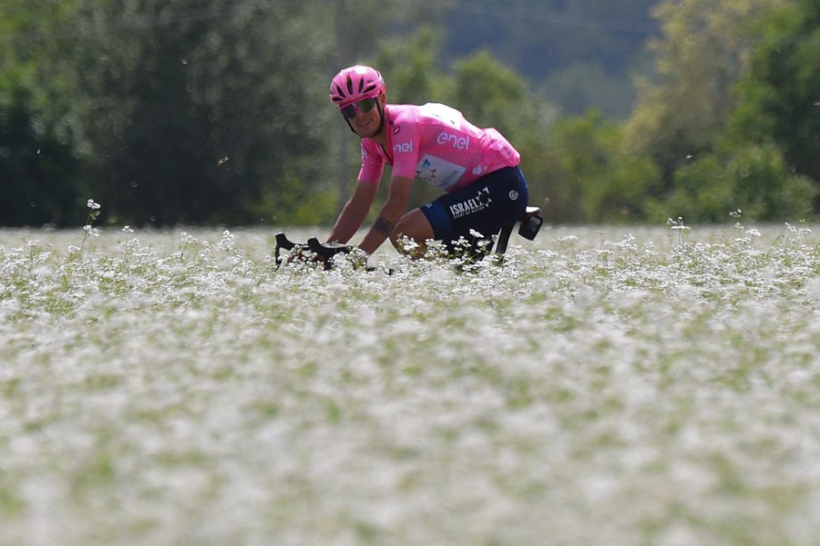 A professional cyclist appears to ride through a field of flowers.