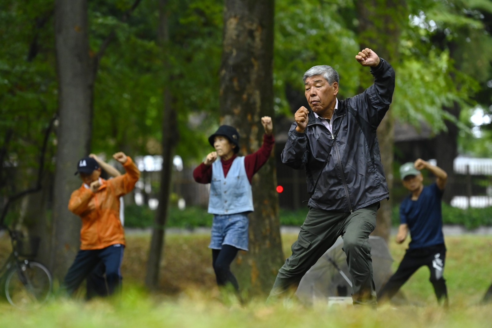 A group of older people exercise together in a park.