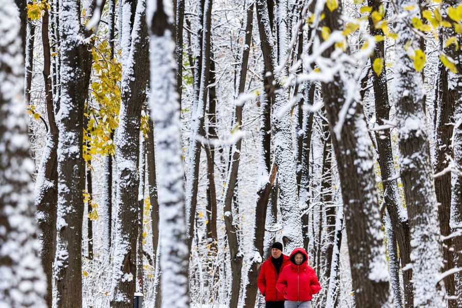 Two people in red coats walk in a park on a snowy day, past trees with snow-covered trunks.